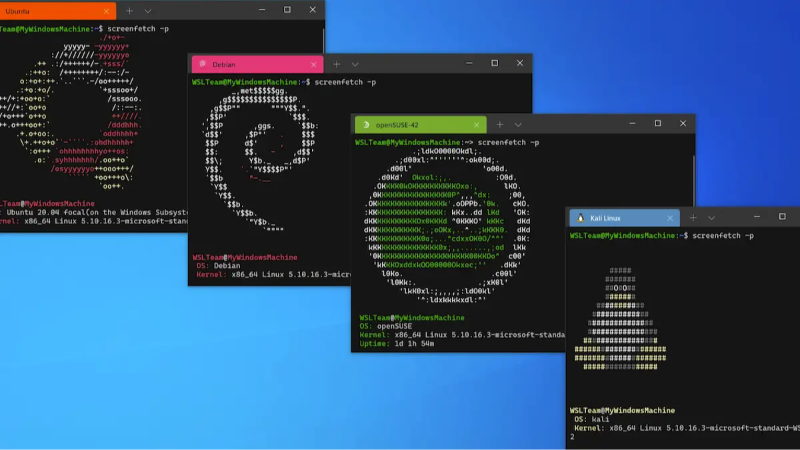 How to Run DeepSeek V3 Locally: Set Up WSL 2